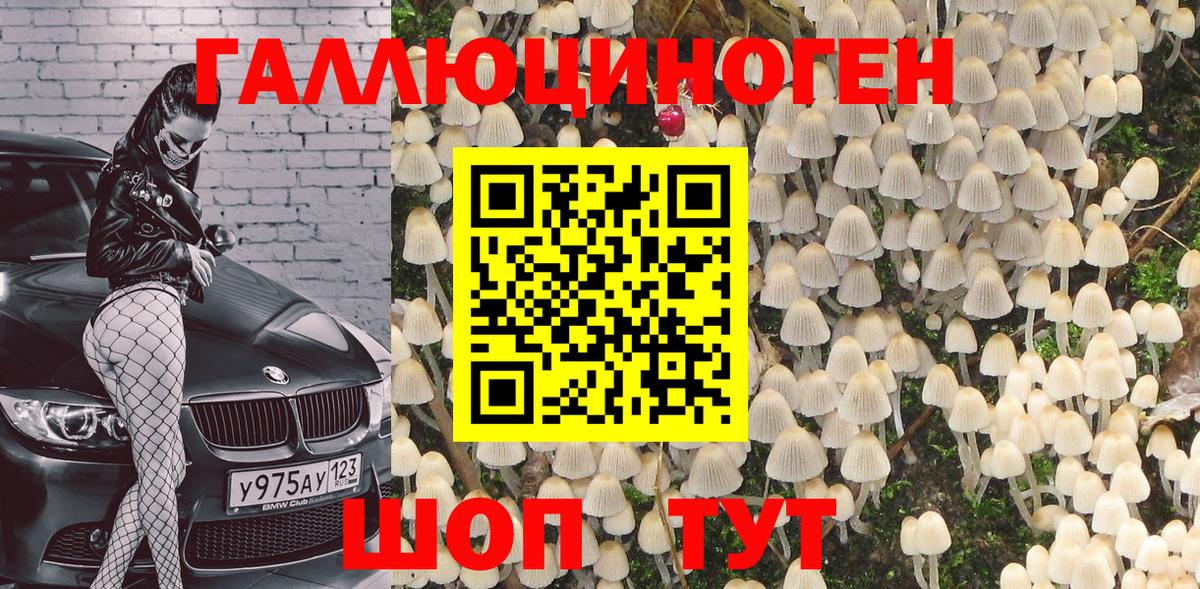 Галлюциногенные грибы Magic Shrooms  Родники 